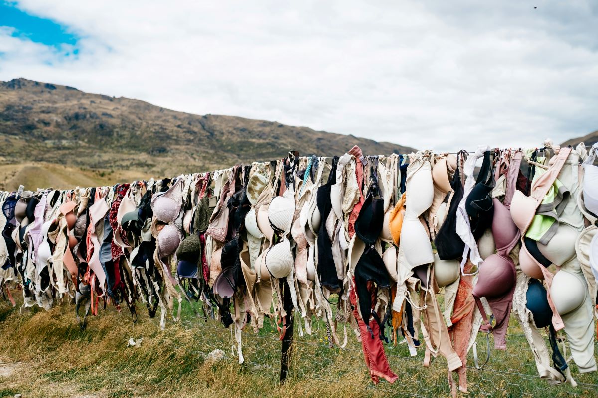 Shocking Truth: What Your Bra Color Reveals About Your Hidden Personality