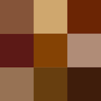 brown shades