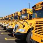 yellow school buses