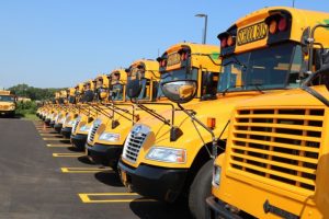 yellow school buses