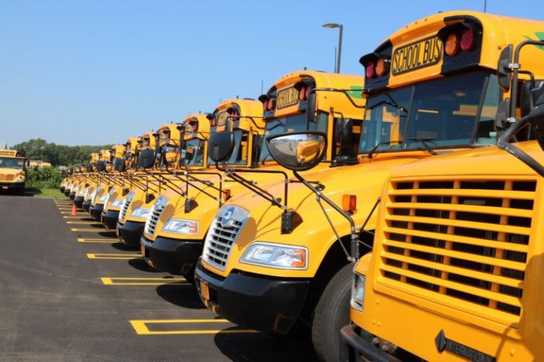yellow school buses