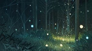 ghost orbs colors meanings