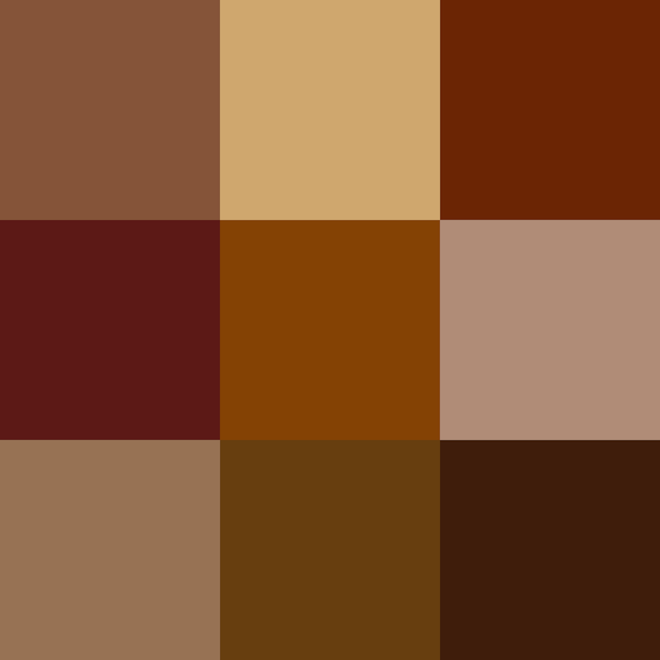 brown shades 1