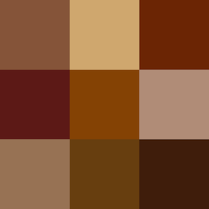brown shades