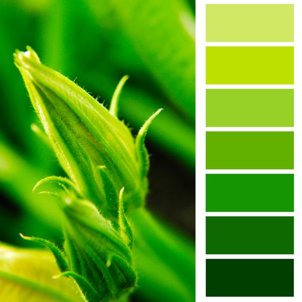green color palette