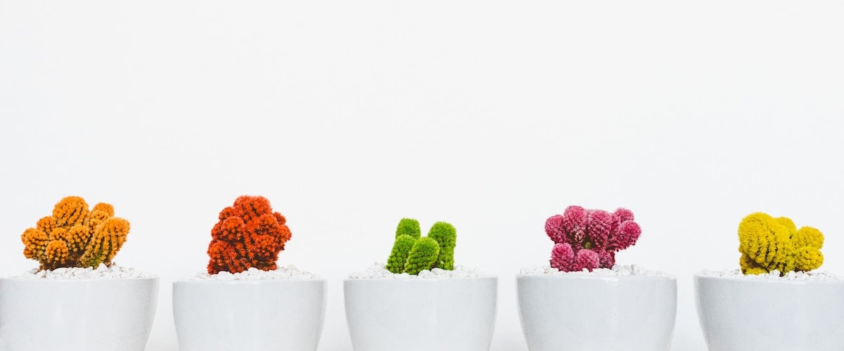 color psychology 1