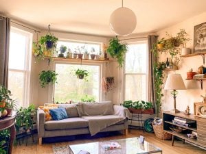 living room color ideas 1