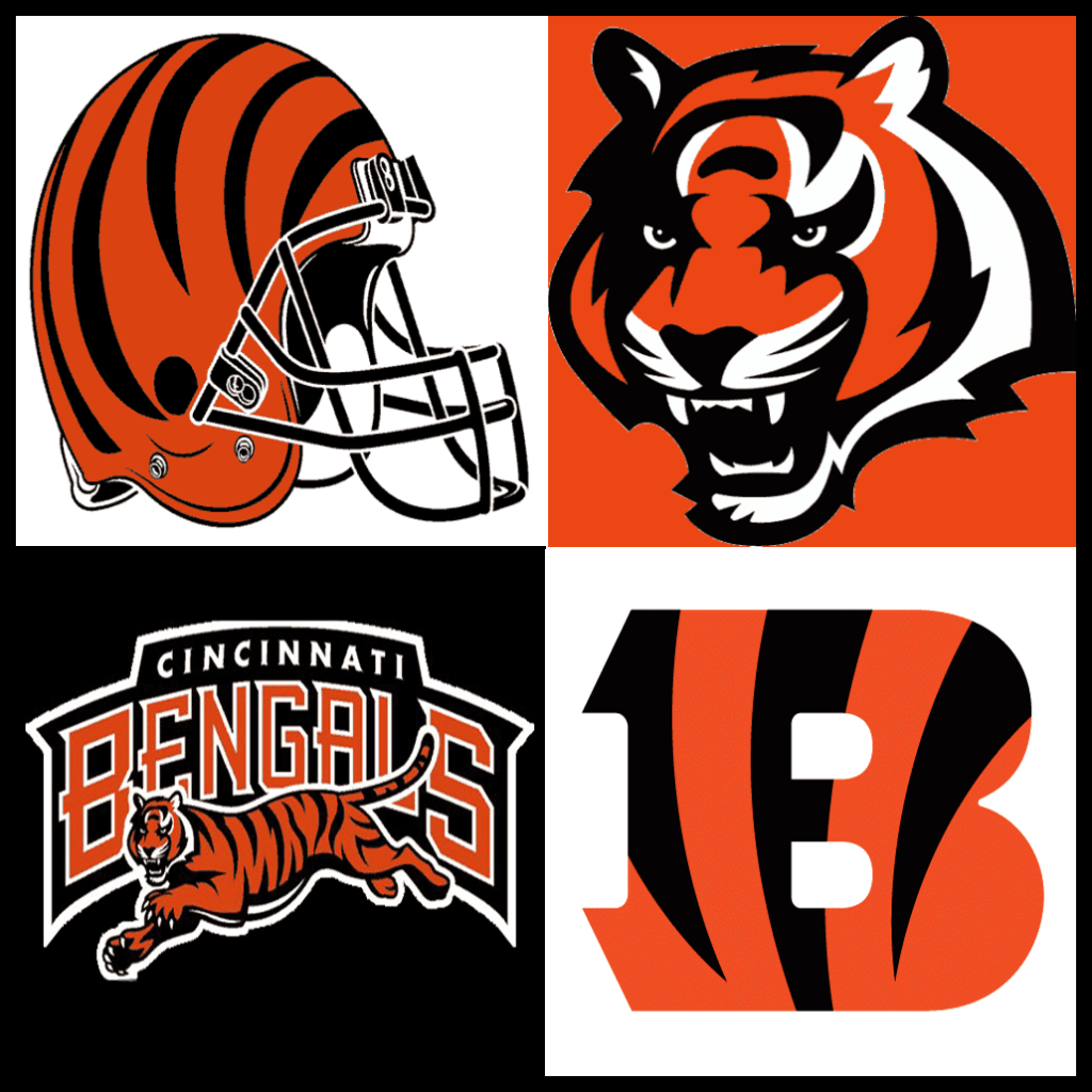 cincinnati bengals colors black