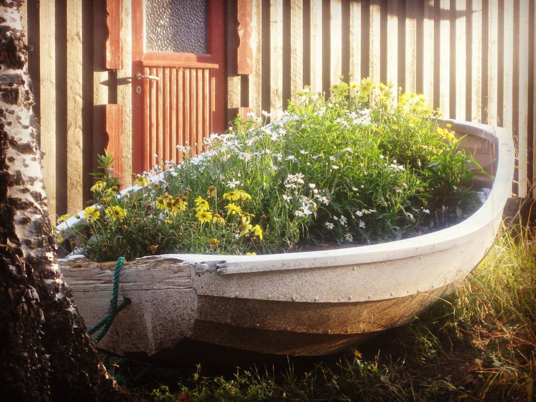 20+ Flower Bed Ideas For Creating the Ultimate Outdoor Sanctuary Color Psychology