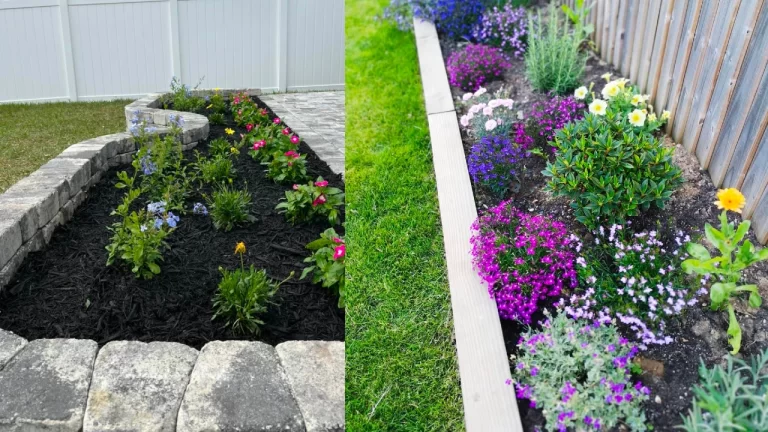 flower bed ideas
