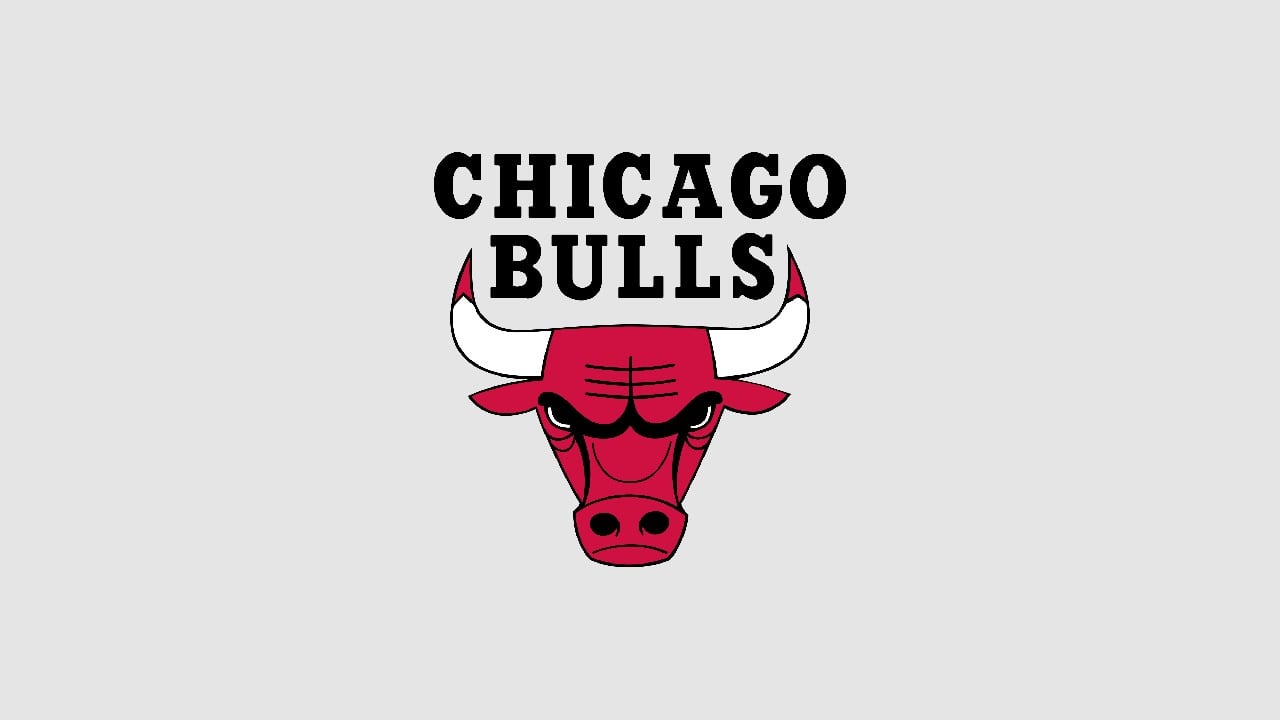 Chicago Bulls Team Colors