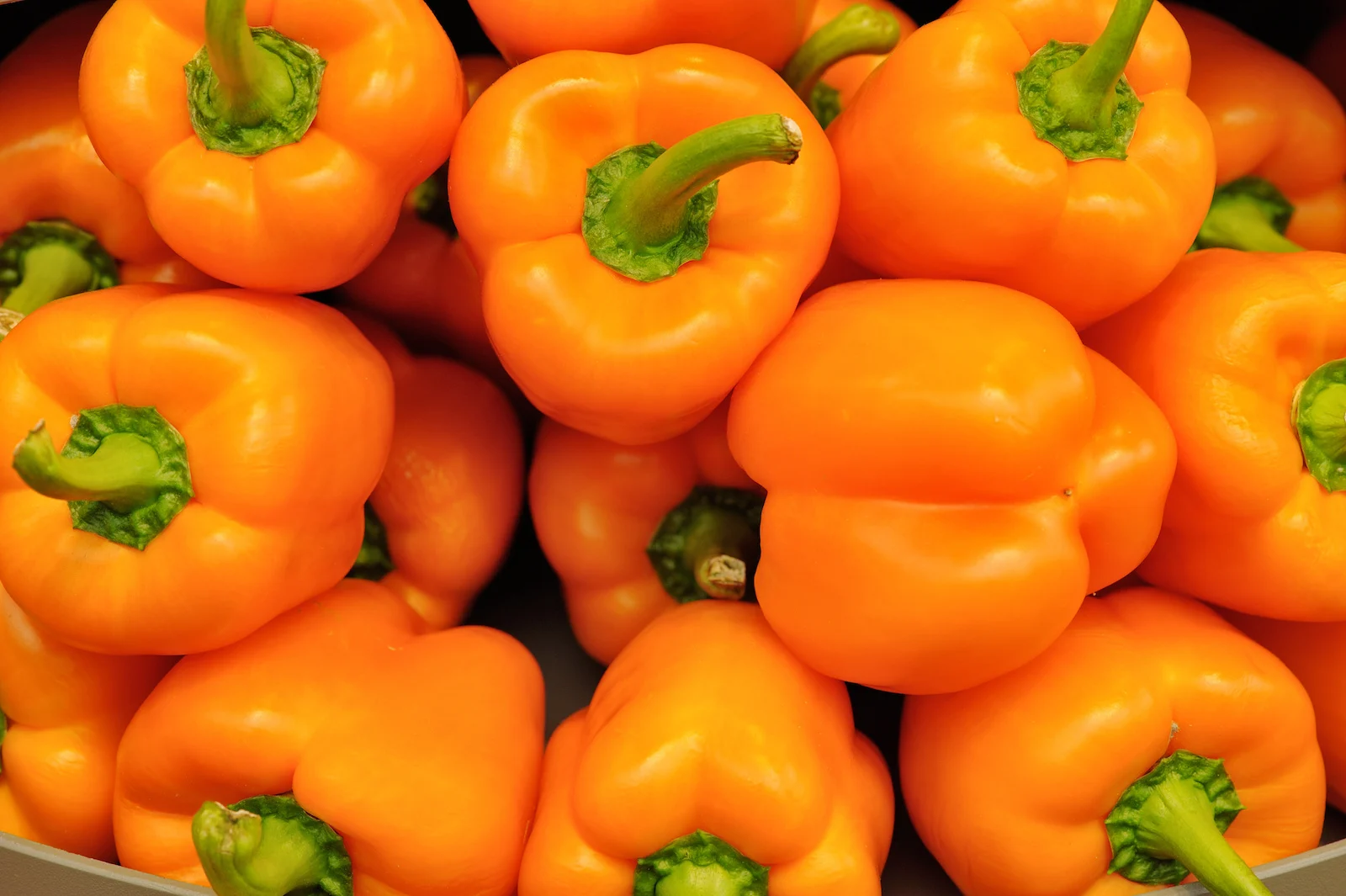 pile of orange bell peppers
