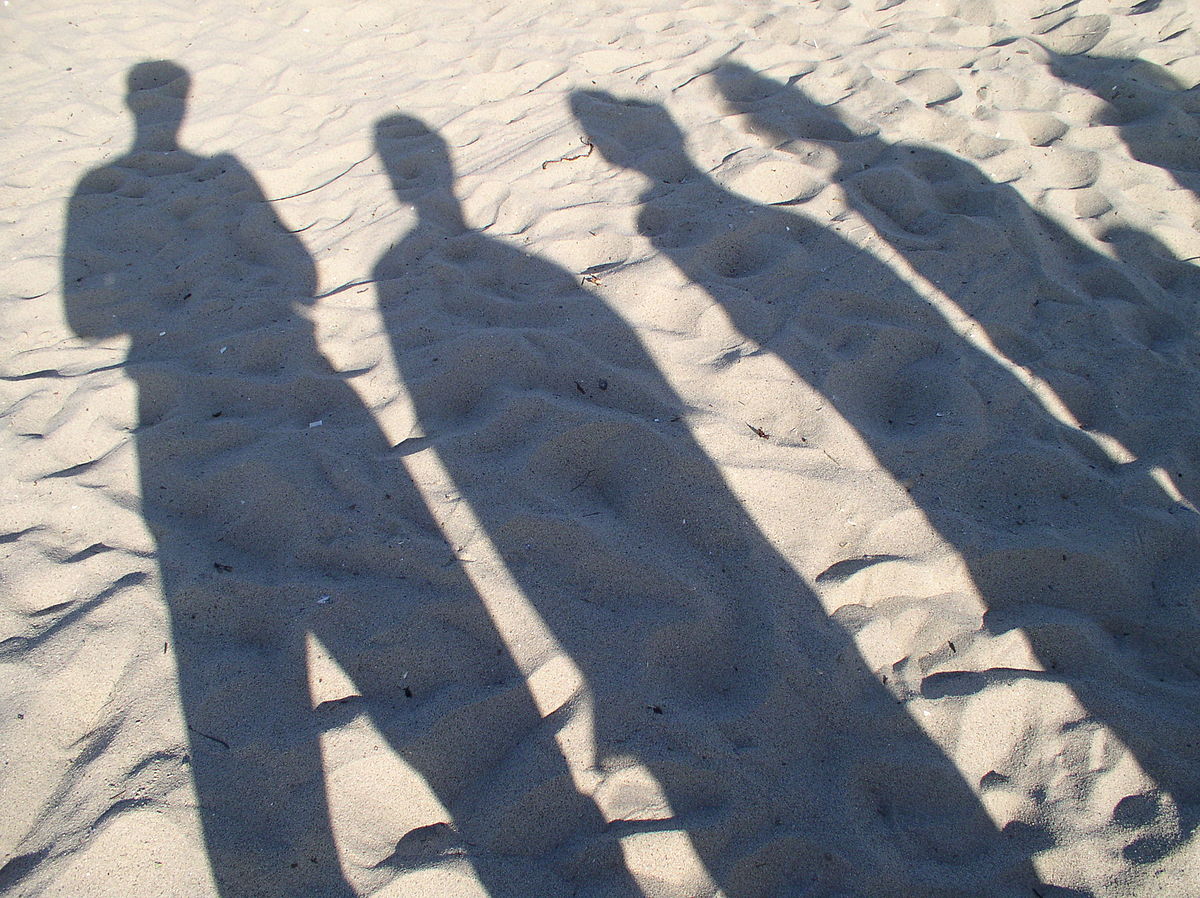 shadows