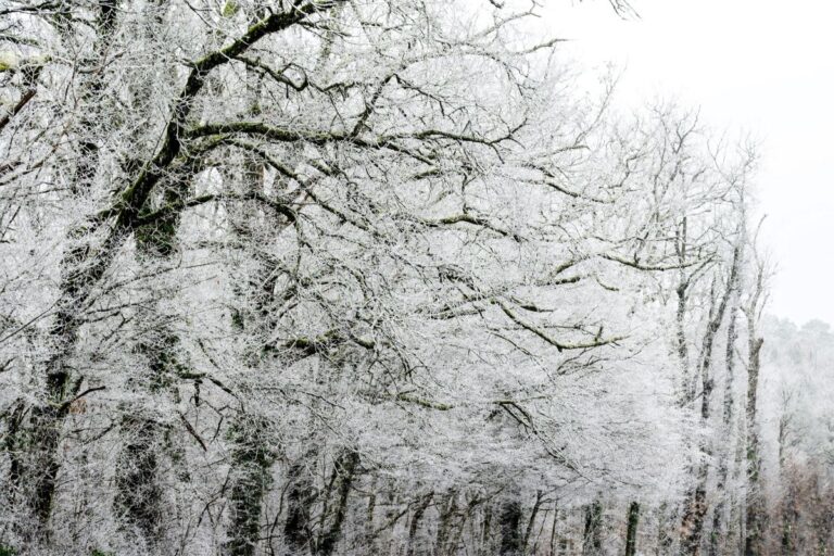 white2