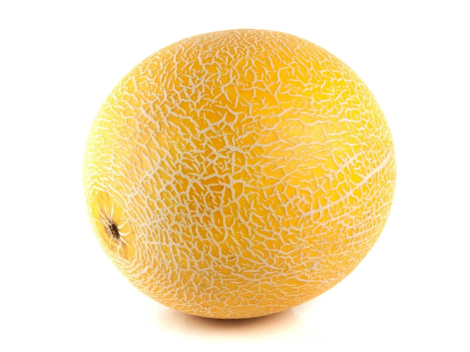 yellow melon