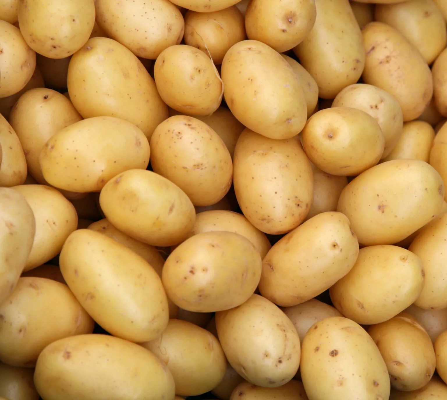 yellow potatoes