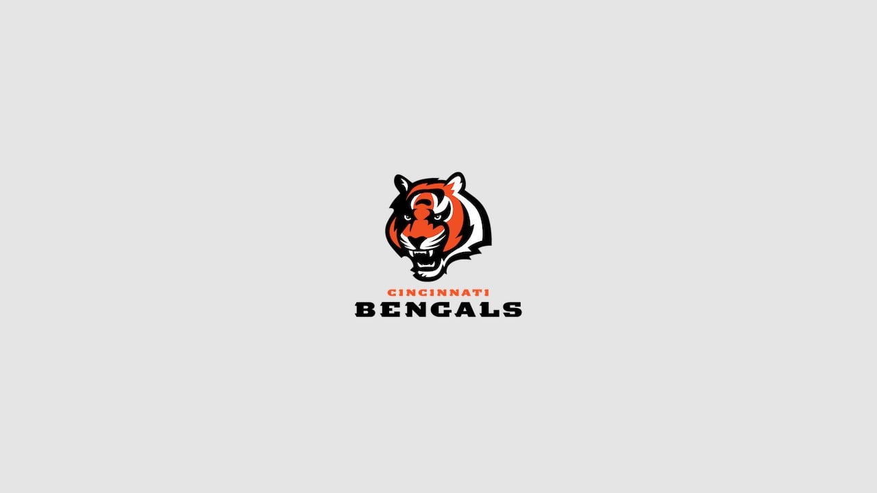 Cincinnati Bengals Team Colors