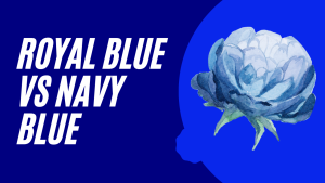 Royal Blue vs Navy Blue
