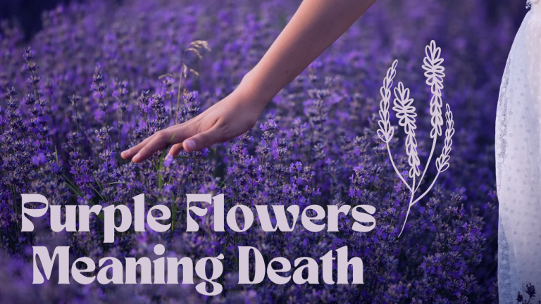 purple flowers meaning