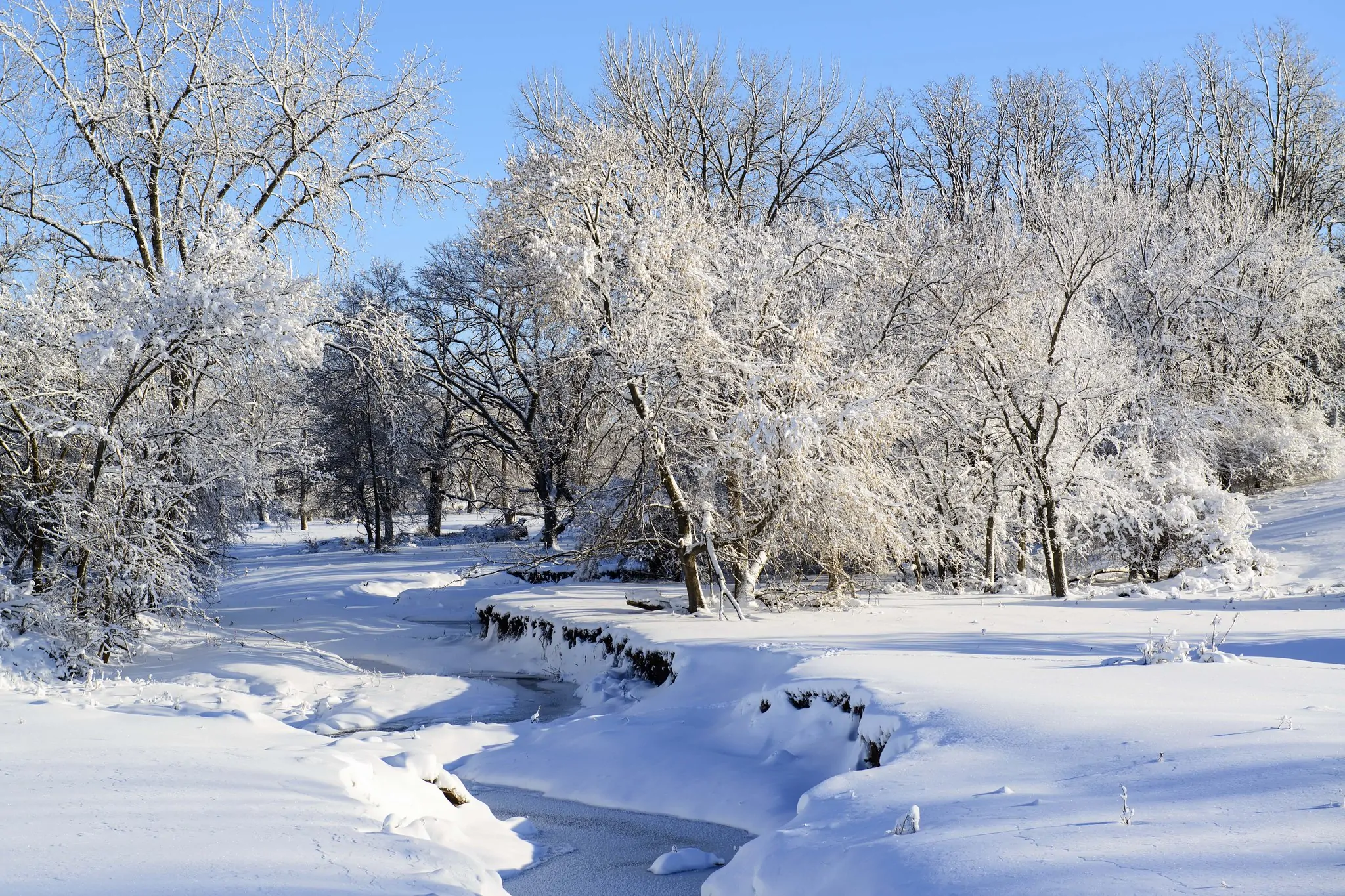 After a snow storm the sun emerged revealing this beautiful scene on Cedar River Road west of Mount Vernon IA