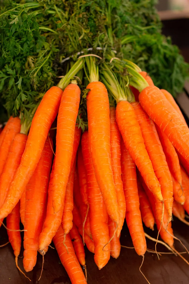 things that are orange in nature carrots